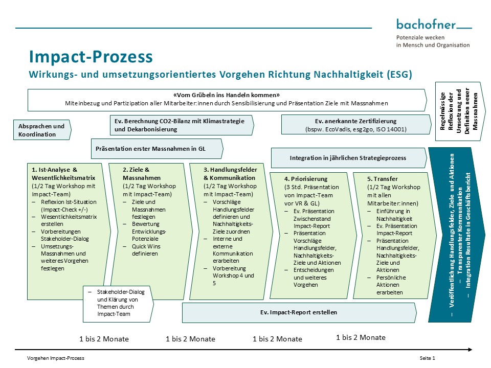 Impact-Prozess 5 Schritte zur Nachhaltigkeit (ESG)